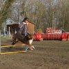agilty 2013-03-03