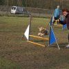 agilty 2013-03-03