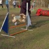 agilty 2013-03-03