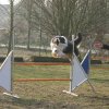 agilty 2013-03-03