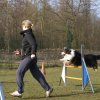 agilty 2013-03-03