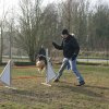 agilty 2013-03-03