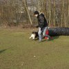 agilty 2013-03-03