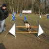 agilty 2013-03-03
