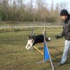 agilty 2013-03-03