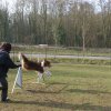 agilty 2013-03-03