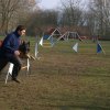 agilty 2013-03-03
