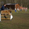 agilty 2013-03-03