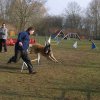 agilty 2013-03-03