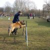 agilty 2013-03-03