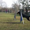 agilty 2013-03-03