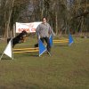agilty 2013-03-03