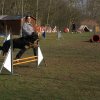 agilty 2013-03-03