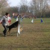 agilty 2013-03-03