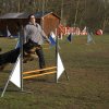 agilty 2013-03-03