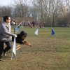 agilty 2013-03-03