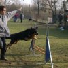 agilty 2013-03-03