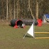 agilty 2013-03-03