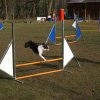 agilty 2013-03-03