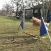 agilty 2013-03-03