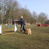 agilty 2013-03-03