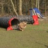 agilty 2013-03-03