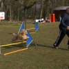 agilty 2013-03-03