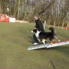agilty 2013-03-03