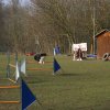 agilty 2013-03-03