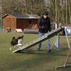 agilty 2013-03-03