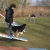 agilty 2013-03-03