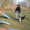agilty 2013-03-03