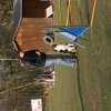 agilty 2013-03-03