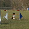 agilty 2013-03-03
