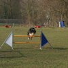 agilty 2013-03-03