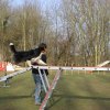 agilty 2013-03-03
