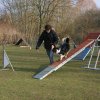agilty 2013-03-03
