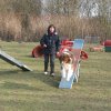 agilty 2013-03-03