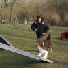 agilty 2013-03-03