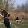 agilty 2013-03-03