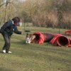 agilty 2013-03-03