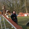 agilty 2013-03-03