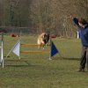 agilty 2013-03-03