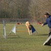 agilty 2013-03-03