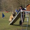 agilty 2013-03-03