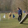 agilty 2013-03-03