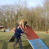 agilty 2013-03-03