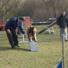 agilty 2013-03-03