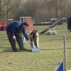 agilty 2013-03-03