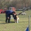 agilty 2013-03-03